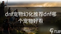 dnf宠物幻化推荐dnf哪个宠物好看