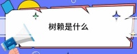 树赖是什么