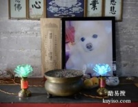 大连宠物殡葬 宠物归宿 宠宝火化