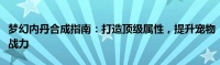 梦幻内丹合成指南：打造顶级属性，提升宠物战力