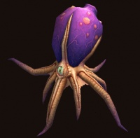 魔兽世界6.0前八大全新特色小宠物