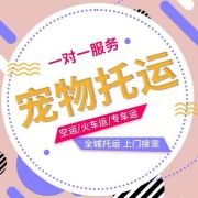 全国宠物托运 可包车...