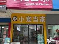 小宠当家宠物馆(凤凰中路店) 湘潭小宠当家宠物馆(凤凰中路店)地址 小宠当家宠物馆(凤凰中路店)电话