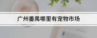 广州番禺哪里有宠物市场
