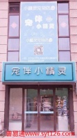 南京宠伴小精灵宠物求职宠伴小精灵宠物连锁招聘店长招聘宠物医生