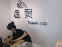 沈阳宠物殡葬师粟诗亚：用爱与责任，为毛孩子送上最后一程