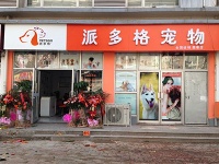 开宠物店的经营方案