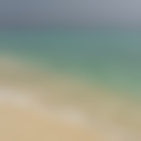 宠物医生/院长有前途吗