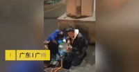 广州义工每天接20单宠物救助，名贵品种多遭遗弃，宠物成“弃物”