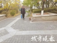 长春禁养犬名单！还有人遛狗不拴绳！