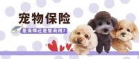 月缴33元！是“智商税”还是“救命钱”？