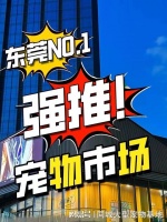东莞哪里买宠物靠谱安全？在此选购，安全可靠且能现场挑选宠物
