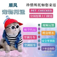 荥阳 宠物托运准时准点上接送代办检疫证