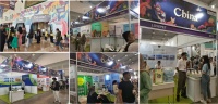 揭秘印尼宠物市场的发展机遇及如何成为入局者