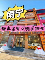 南宁买猫狗应该去哪里？这里买宠物放心还能去实体店挑选宠物