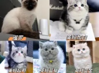 南宁其他电话