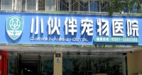 小伙伴宠物医院加盟费用 小伙伴宠物医院加盟多少钱