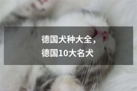 德国犬种大全，德国10大名犬