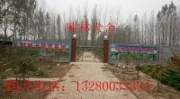 株洲市附近哪里有大型宠物交易市场