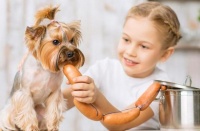适合陪伴小孩的7种狗狗品种（选择一种适合家里有小孩的狗狗，让孩子和宠物共同成长）
