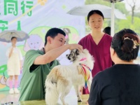 双流开展“与萌宠同行，争做文明养宠人”文明养犬倡导活动