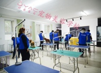 做宠物美容师一个月多少钱