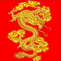 没味的宠物