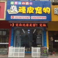 新手怎么开宠物店去哪里进货?（新手如何开宠物店）