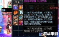 dnf宠物怎么交易 DNF宠物交易全解析