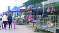 梨园狗市将搬迁 昔日辉煌不再