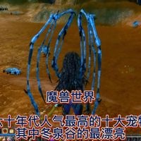 魔兽世界：六十年代人气最高的十大宠物，其中冬泉谷的最漂亮