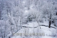 怎么联系深圳动保组织，深圳哪里有动物救助站