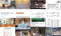 深圳动物救助站义工