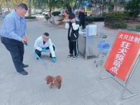 潍坊高密市畜牧中心组织开展免费接种狂犬疫苗活动