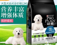 宠物拉肚子怎么办？这些止泻药备起来！