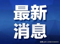 天津哪有狗市，品种多价格也便宜一点的急急急急急急？