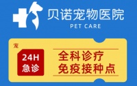全面解析，贝诺宠物医院有哪些服务项目