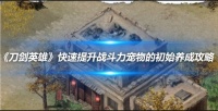 《刀剑英雄》快速提升战斗力宠物的初始养成攻略