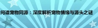 问道宠物同源：深度解析宠物情缘与源头之谜