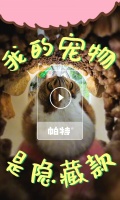 我的宠物是隐藏款：帕特九周年诠释“独一无二的爱与陪伴”
