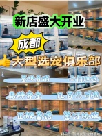 成都买猫咪狗狗应该去哪里？包你安心能当面挑选自己心仪的宠物