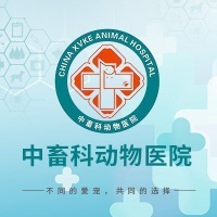 【首正宠物医院】首正宠物医院电话，首正宠物医院地址