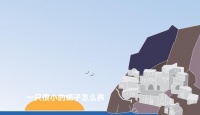 一只很小的蝎子怎么养