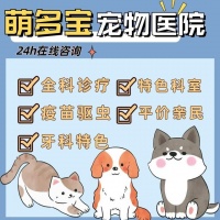 【派多格宠物医院(百金汉青年汇店)】派多格宠物医院(百金汉青年汇店)电话，派多格宠物医院(百金汉青年汇店)地址