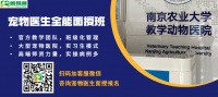 宠物基础医学培训班