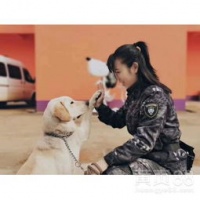 杭州有什么宠物培训学校比较好 (杭州宠物训练基地有哪些)