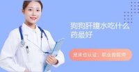 狗狗肝腹水吃什么药最好
