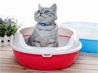 猫砂盆清理
