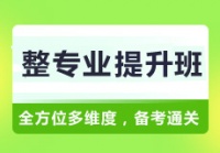 甲外出前，将一只名贵宠物狗委托乙交给丙代为饲养，后丙将该宠物狗以合理价格卖给乙。甲