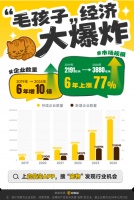 启信宝解码宠物行业风云：400万企业竞逐“毛孩子”新商机